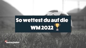 Fussball WM Wetten Einsteiger Guide