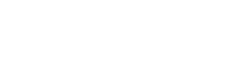 Tipico Logo Transparent